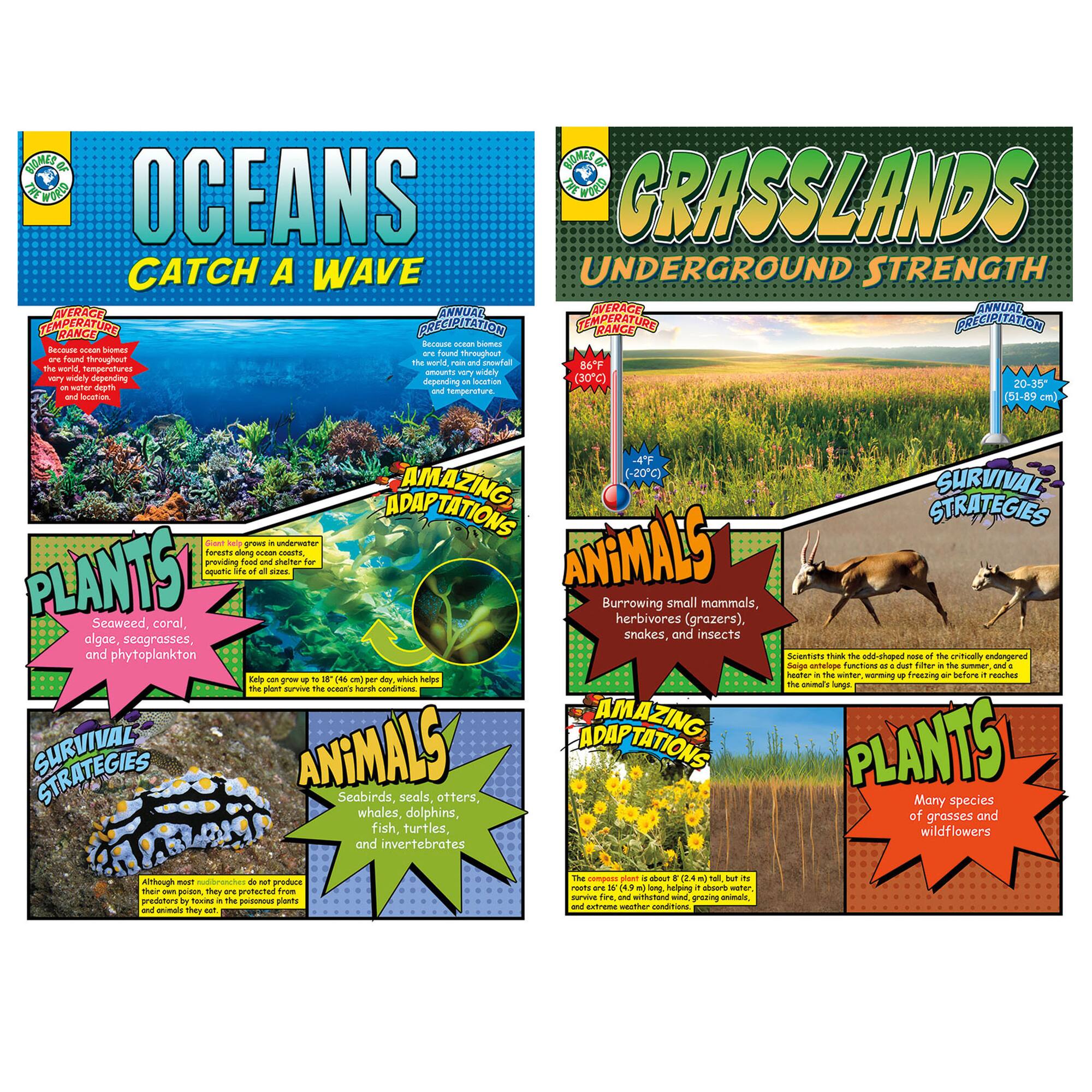 Biomes Bulletin Board Set